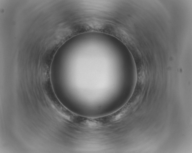 X0000088600464200705251218