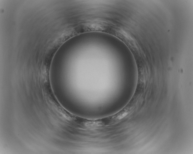 X0000088600465200705251218