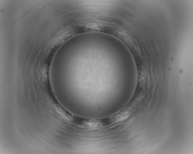 X0000088600466200705251218