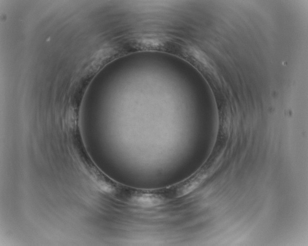 X0000088600467200705251218