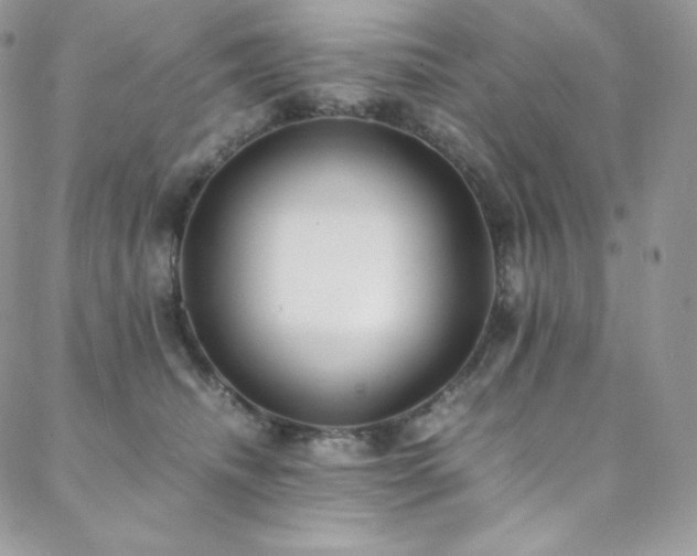 X0000088600468200705251218