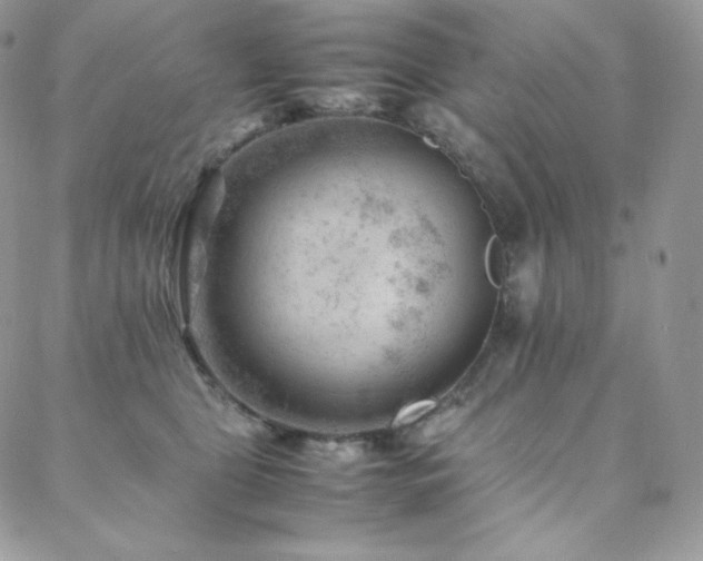 X0000088600469200705251218