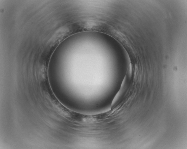 X0000088600470200705251218