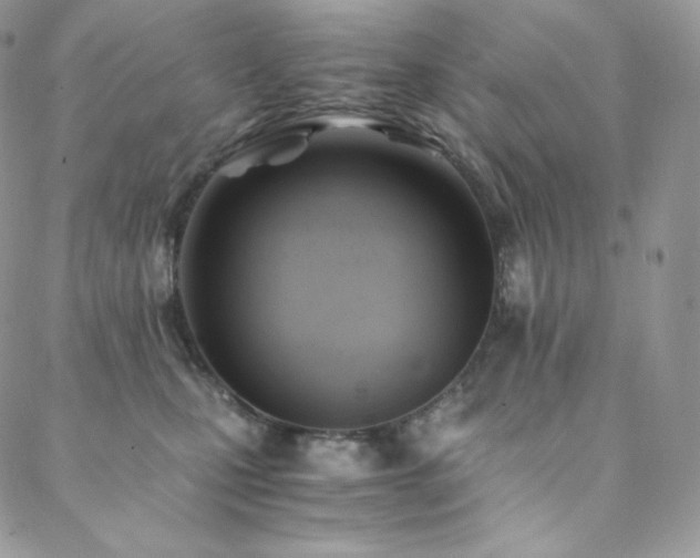 X0000088600471200705251218