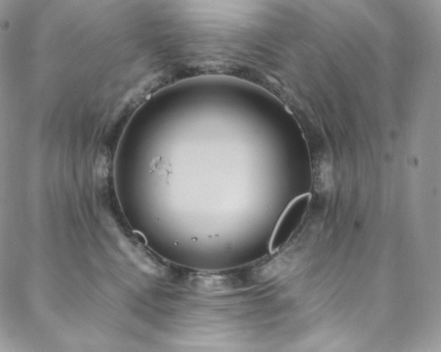 X0000088600472200705251218