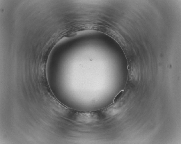 X0000088600473200705251218