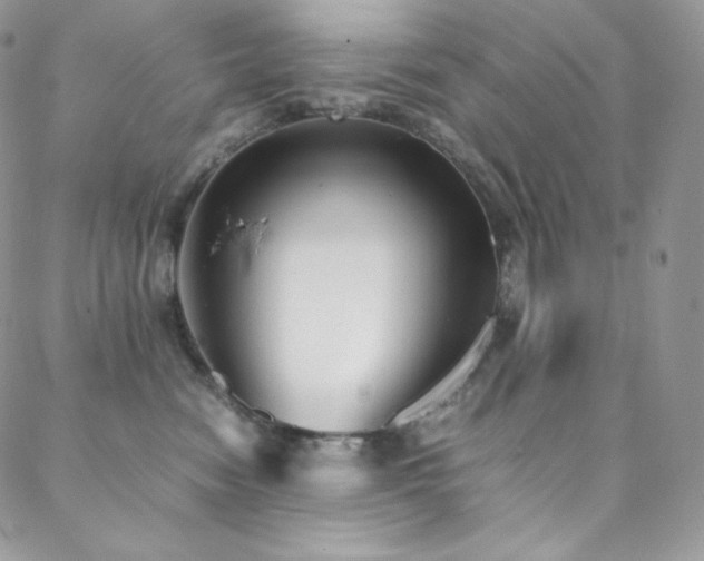 X0000088600474200705251218