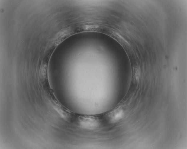 X0000088600475200705251218