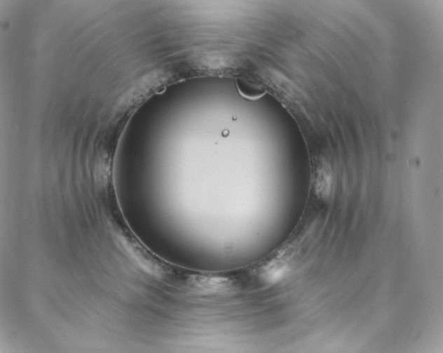 X0000088600476200705251219