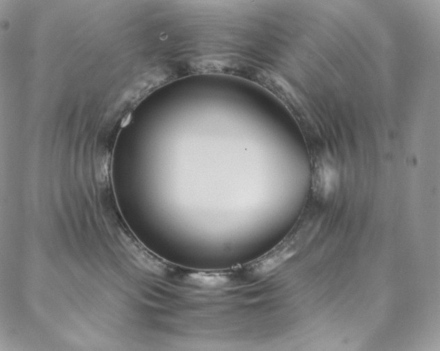 X0000088600477200705251219