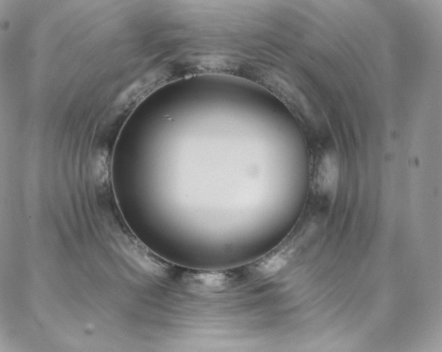 X0000088600478200705251219