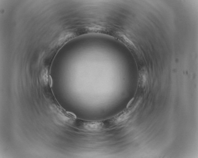 X0000088600479200705251219