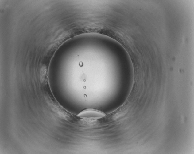 X0000088600480200705251219