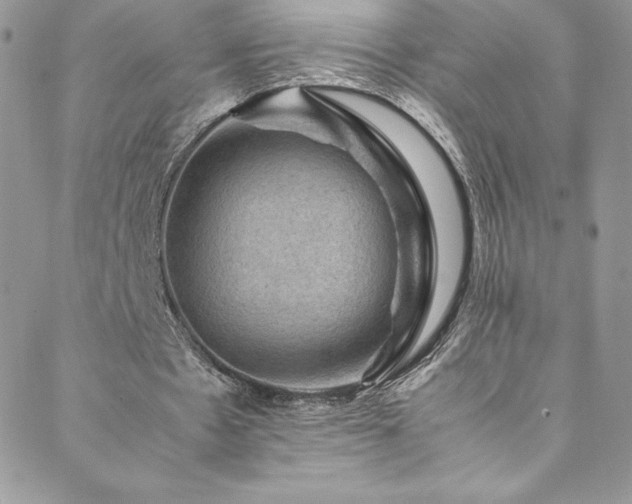 X0000088600481200705251218