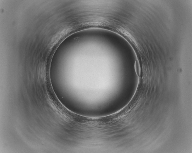 X0000088600482200705251218