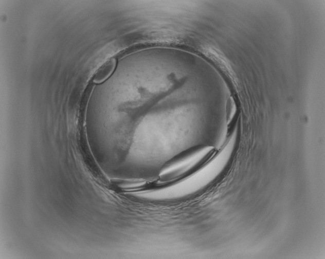 X0000088600483200705251218