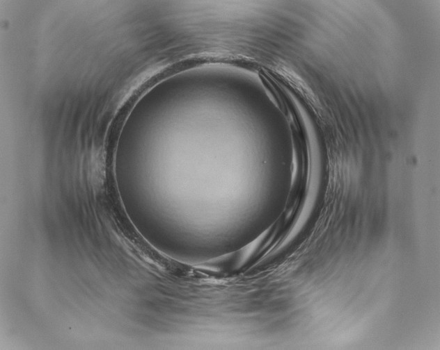 X0000088600484200705251218