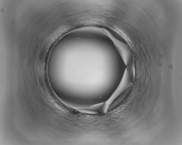 X0000088600485200705251218