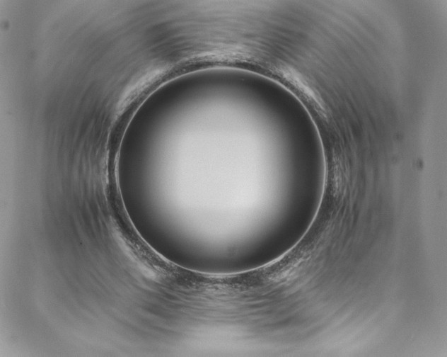 X0000088600486200705251218