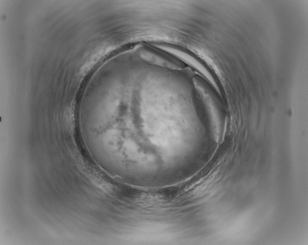 X0000088600487200705251218