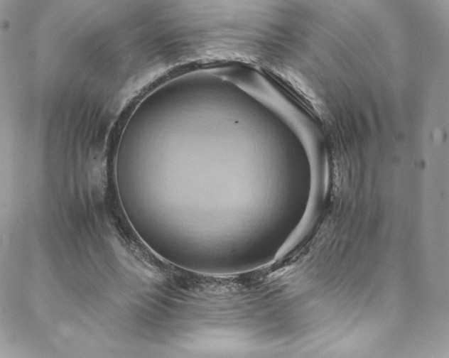 X0000088600488200705251218