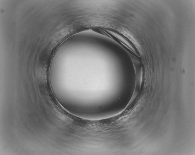 X0000088600489200705251218