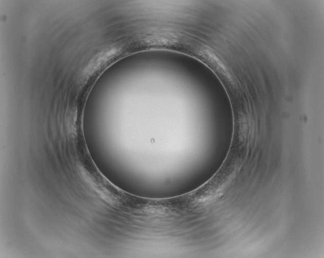 X0000088600490200705251218