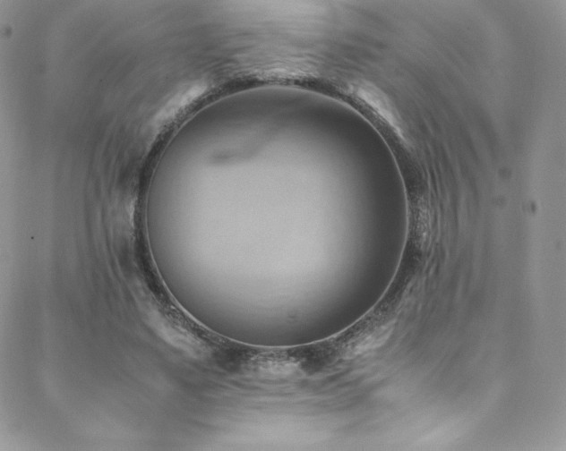 X0000088600491200705251218