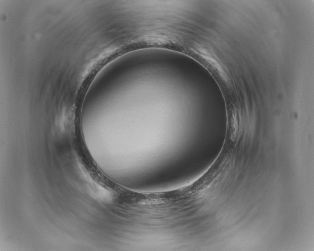 X0000088600492200705251218