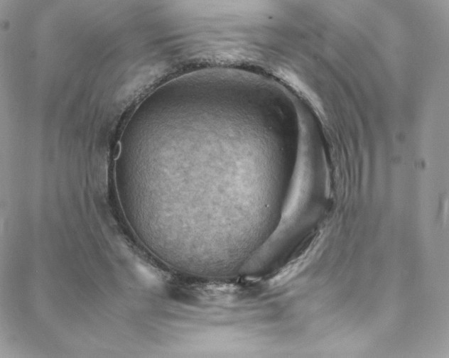 X0000088600493200705251218