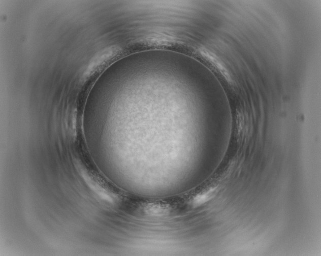 X0000088600494200705251218