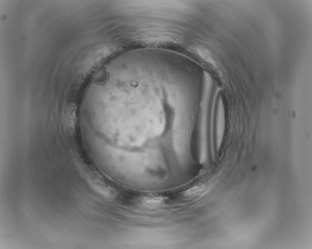 X0000088600495200705251218