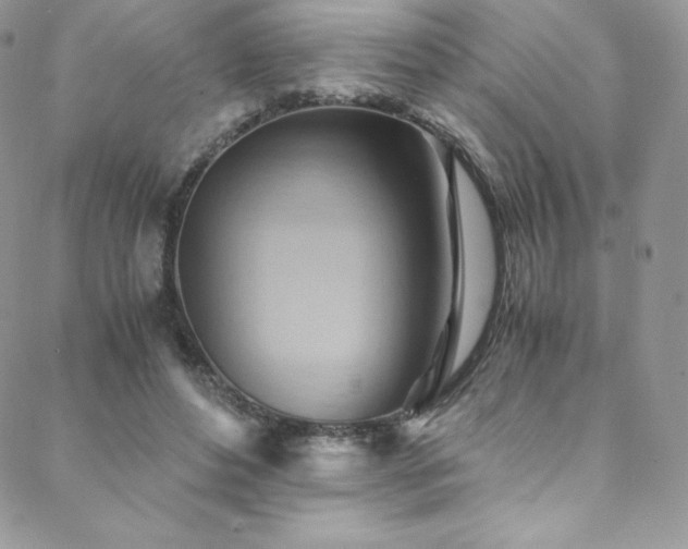 X0000088600496200705251218