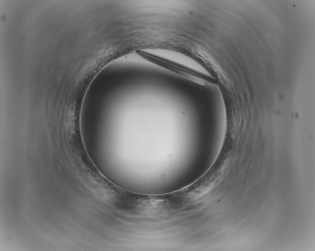 X0000088600497200705251218