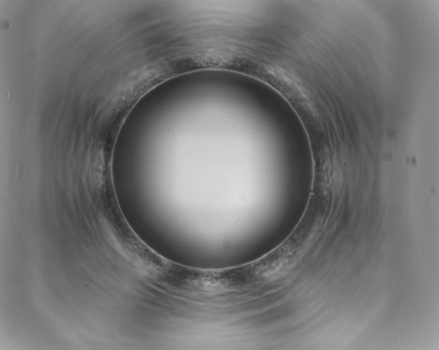 X0000088600498200705251218