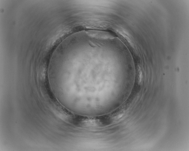 X0000088600499200705251218