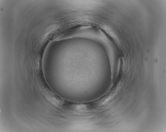 X0000088600501200705251217