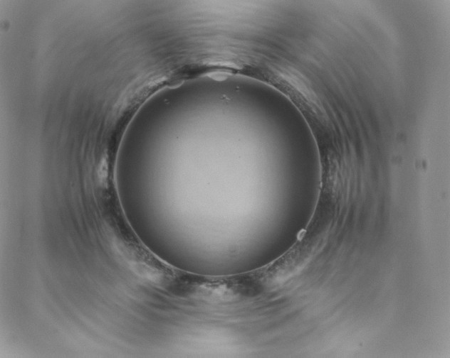 X0000088600502200705251217