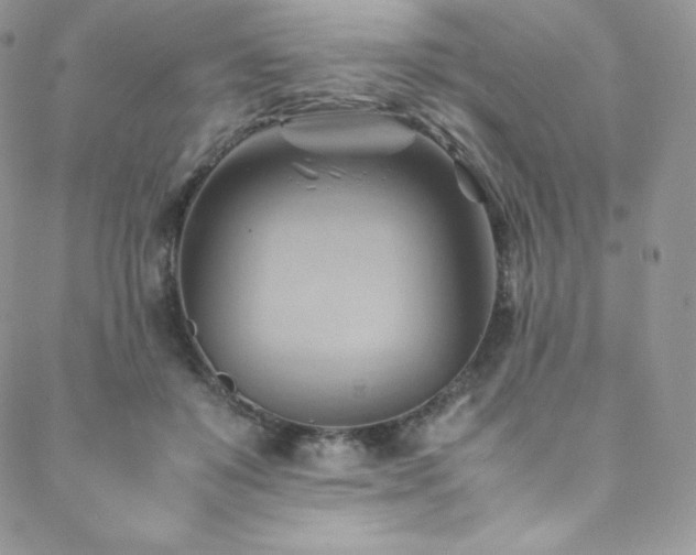 X0000088600503200705251217