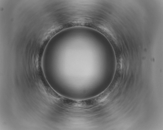 X0000088600504200705251217