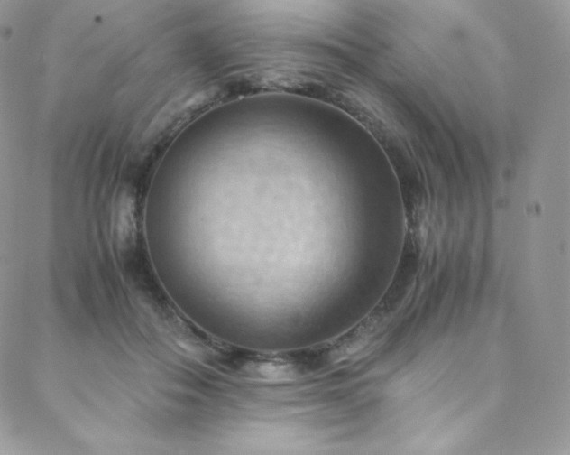 X0000088600506200705251217