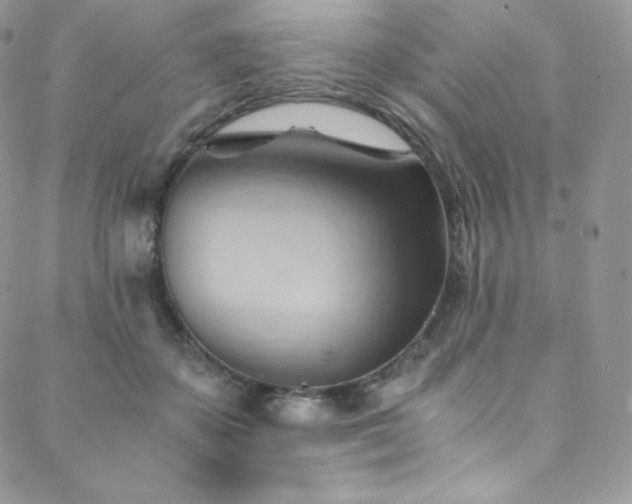 X0000088600507200705251217