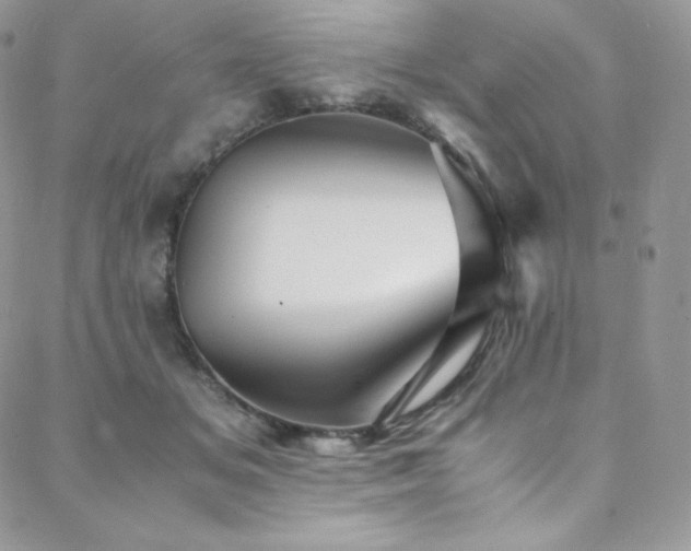 X0000088600509200705251217