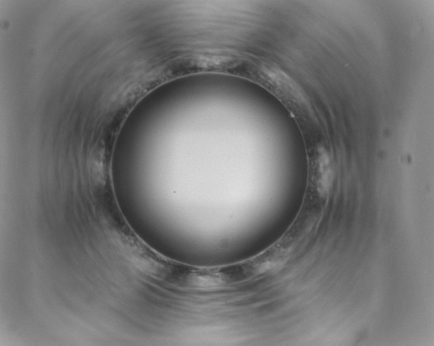 X0000088600510200705251217