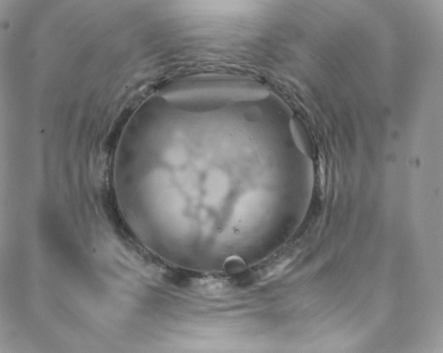 X0000088600511200705251217