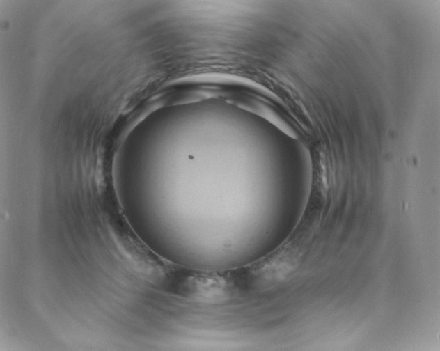 X0000088600512200705251217