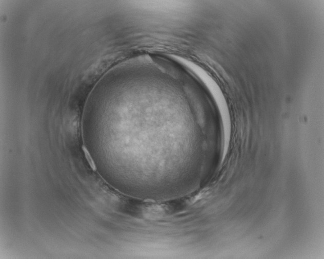 X0000088600513200705251217