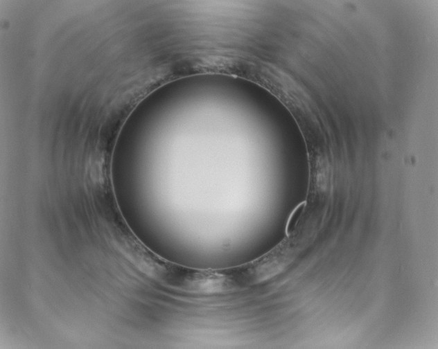 X0000088600514200705251217