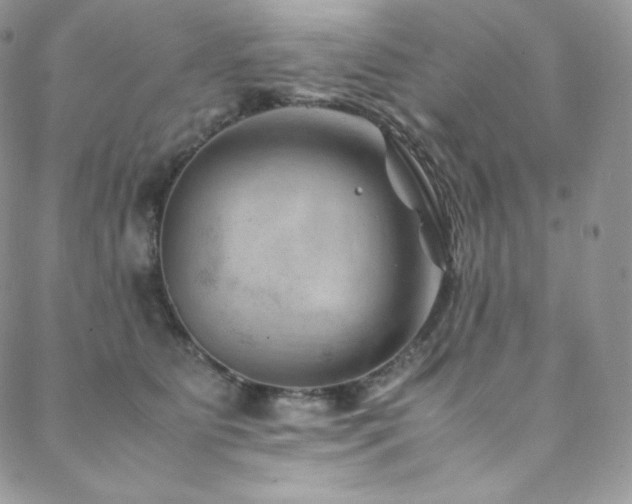 X0000088600515200705251217