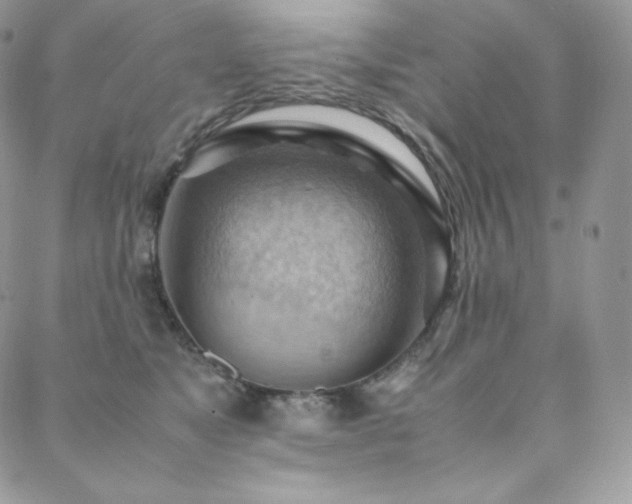 X0000088600517200705251217